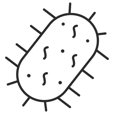 カビやダニイメージ